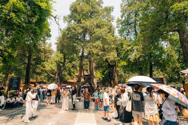 Pekin, Çin Yasak Şehir Kuzey Kapısı 'nda. Yüksek kalite fotoğraf