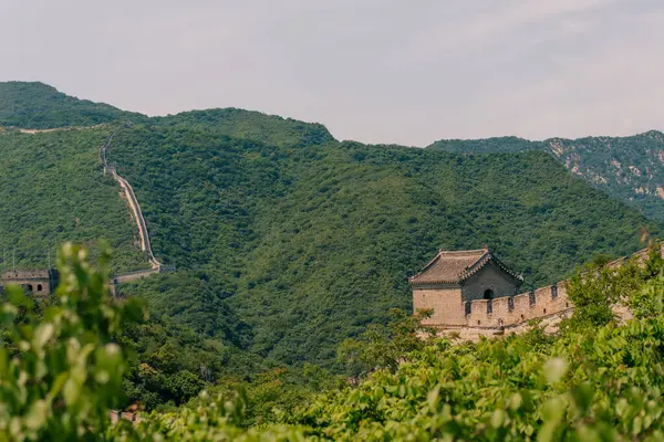 Çin 'in Pekin yakınlarındaki Mutianyu' daki Çin Seddi. Yüksek kalite fotoğraf