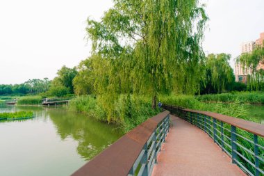 Pekin, Çin - 3 Haziran 2025 Chao Yang Gong Yuan yazın. Yüksek kalite fotoğraf