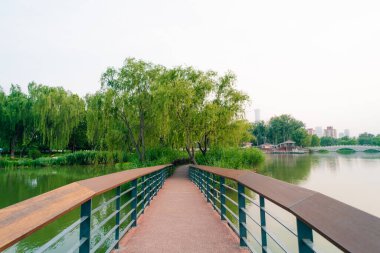 Pekin, Çin - 3 Haziran 2025 Chao Yang Gong Yuan yazın. Yüksek kalite fotoğraf