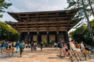 Nara, Japonya - 2 Mayıs 2025 Nandai-mon Kapısı Todai-ji Tapınağı. Yüksek kalite fotoğraf