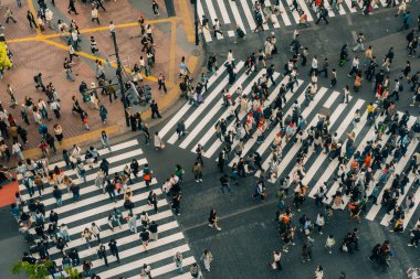 Tokyo, Japonya - 2 Mayıs 2025 Shibuya yaya geçidi ve şehir ışıkları, Tokyo, Japonya. Yüksek kalite fotoğraf
