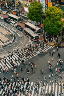 Tokyo, Japonya - 2 Mayıs 2025 Shibuya yaya geçidi ve şehir ışıkları, Tokyo, Japonya. Yüksek kalite fotoğraf