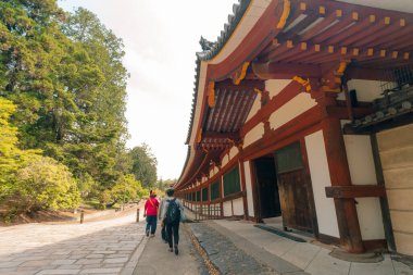 Japonya, Nara - 2 Mayıs 2025 Nara Parkı ve Todaiji Tapınağı, Todaiji Kompleksi. Yüksek kalite fotoğraf