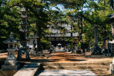 Shikoku, Japonya - 2 Mayıs 2025 Sanuki Kokubun Tapınağı No. Japonya 'nın Kagawa bölgesindeki Shikoku haccında 80 kişi. Yüksek kalite fotoğraf