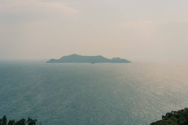 Amami Oshima Adası, Kyushu, Japonya. Yüksek kalite fotoğraf