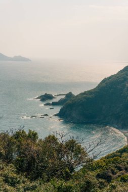 Amami Oshima Adası, Kyushu, Japonya. Yüksek kalite fotoğraf