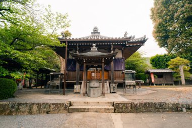 Shikoku, Japonya - 2 Mayıs 2025 Mandaraji Tapınağı No. Shikoku haccında 72 kişi. Yüksek kalite fotoğraf