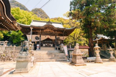 Shikoku, Japonya - 2 Mayıs 2025 Yakuri Tapınağı No. Japonya 'nın Kagawa bölgesindeki Shikoku Haccında 85 kişi. Yüksek kalite fotoğraf