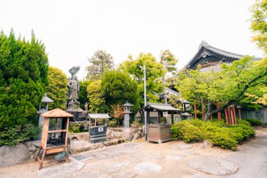 Shikoku, Japonya - 2 Mayıs 2025 Ichinomiya Tapınağı No. Shikoku haccında 83, Kagawa Bölgesi, Japonya. Yüksek kalite fotoğraf