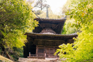 Shikoku, Japonya - 2 Mayıs 2025 Iyadani Tapınağı No. Shikoku haccında 71 kişi. Yüksek kalite fotoğraf