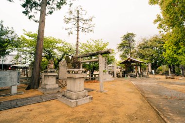 Shikoku, Japonya - 2 Mayıs 2025 Konzo Tapınağı No. Shikoku haccında 76. Yüksek kalite fotoğraf