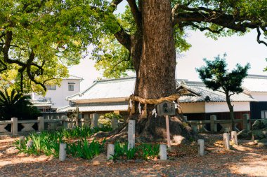 Shikoku, Japonya - 2 Mayıs 2025 Tenno Tapınağı No. Shikoku haccında 79 kişi. Yüksek kalite fotoğraf