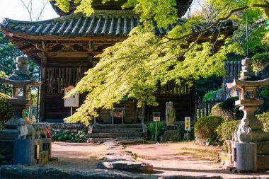 Shikoku, Japonya - 2 Mayıs 2025 Shiromine Tapınağı No. Japonya 'nın Kagawa bölgesindeki Shikoku Haccında 81 kişi. Yüksek kalite fotoğraf