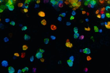 Tokyo, Japonya - 3 Ağustos 2025 Tokyo 'daki Laboratuar Gezegenleri Sanat Müzesi. Yüksek kalite fotoğraf