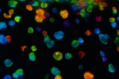 Tokyo, Japonya - 3 Ağustos 2025 Tokyo 'daki Laboratuar Gezegenleri Sanat Müzesi. Yüksek kalite fotoğraf