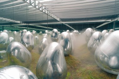 Tokyo, Japonya - 3 Ağustos 2025 Tokyo 'daki Laboratuar Gezegenleri Sanat Müzesi. Yüksek kalite fotoğraf