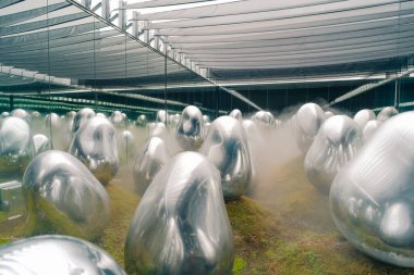 Tokyo, Japonya - 3 Ağustos 2025 Tokyo 'daki Laboratuar Gezegenleri Sanat Müzesi. Yüksek kalite fotoğraf