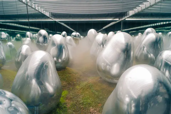 Tokyo, Japonya - 3 Ağustos 2025 Tokyo 'daki Laboratuar Gezegenleri Sanat Müzesi. Yüksek kalite fotoğraf