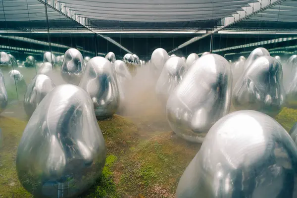 Tokyo, Japonya - 3 Ağustos 2025 Tokyo 'daki Laboratuar Gezegenleri Sanat Müzesi. Yüksek kalite fotoğraf