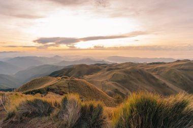 Dağ Pulag, Dağ Eyaleti, Filipinler. Yüksek kalite fotoğraf