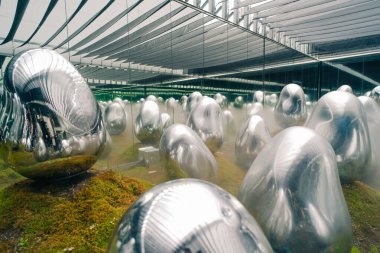 Tokyo, Japonya - 3 Ağustos 2025 Tokyo 'daki Laboratuar Gezegenleri Sanat Müzesi. Yüksek kalite fotoğraf