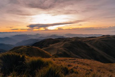 Dağ Pulag, Dağ Eyaleti, Filipinler. Yüksek kalite fotoğraf