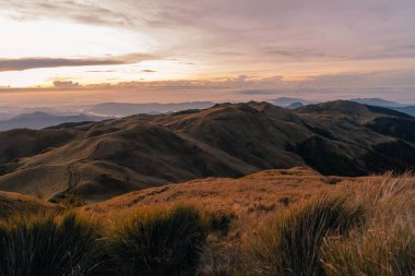 Dağ Pulag, Dağ Eyaleti, Filipinler. Yüksek kalite fotoğraf