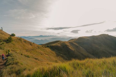 Mountain Pulag Dağı, Filipinler - 5 Ağustos 2025. Yüksek kalite fotoğraf