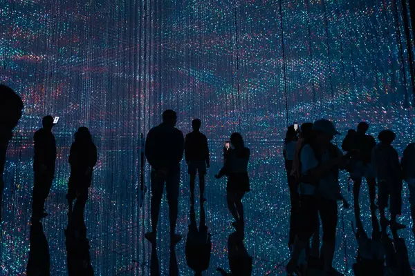 Tokyo, Japonya - 2 Ağustos 2025 Tokyo 'daki Laboratuar Gezegenleri Sanat Müzesi. Yüksek kalite fotoğraf