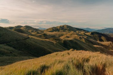 Dağ Pulag, Dağ Eyaleti, Filipinler. Yüksek kalite fotoğraf