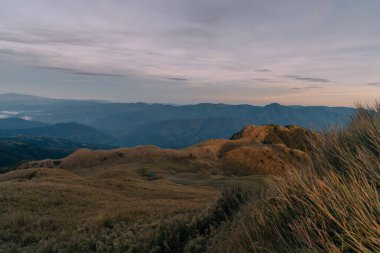 Dağ Pulag, Dağ Eyaleti, Filipinler. Yüksek kalite fotoğraf