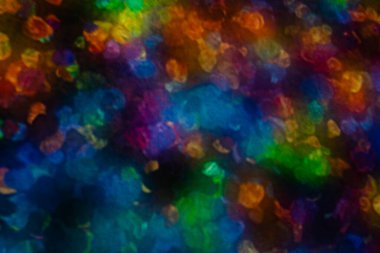 Tokyo, Japonya - 3 Ağustos 2025 Tokyo 'daki Laboratuar Gezegenleri Sanat Müzesi. Yüksek kalite fotoğraf