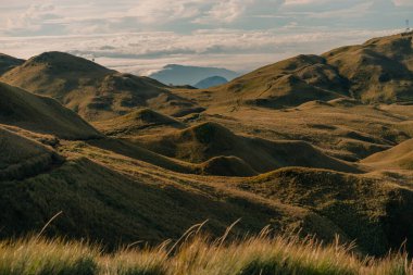Dağ Pulag, Dağ Eyaleti, Filipinler. Yüksek kalite fotoğraf