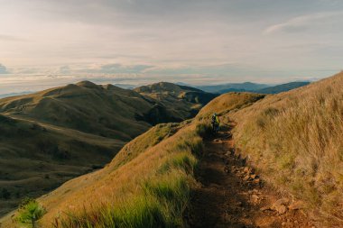 Dağ Pulag, Dağ Eyaleti, Filipinler. Yüksek kalite fotoğraf