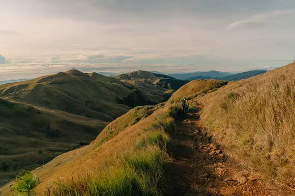 Dağ Pulag, Dağ Eyaleti, Filipinler. Yüksek kalite fotoğraf