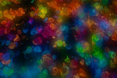 Tokyo, Japonya - 3 Ağustos 2025 Tokyo 'daki Laboratuar Gezegenleri Sanat Müzesi. Yüksek kalite fotoğraf