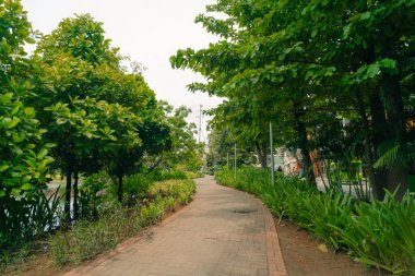 Boracay Adası, Filipinler 'deki Balabag Wetland Parkı - 2 Mayıs 2025. Yüksek kalite fotoğraf
