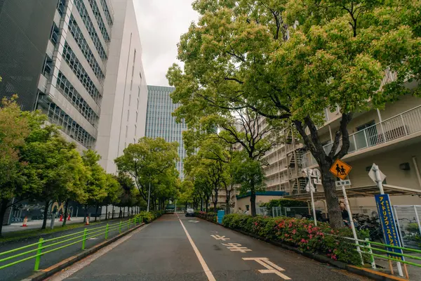 Tokyo, Japonya - 2 Ağustos 2025 Harumi Adası Triton Meydanı Z Kulesi. Yüksek kalite fotoğraf