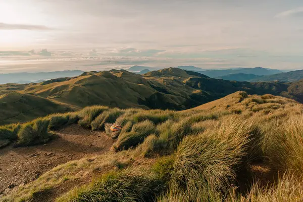 Dağ Pulag, Dağ Eyaleti, Filipinler. Yüksek kalite fotoğraf