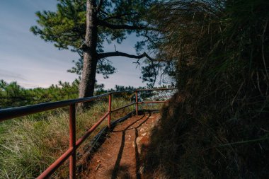 Ormanda demir bir tırabzanla yol. Yüksek kalite fotoğraf