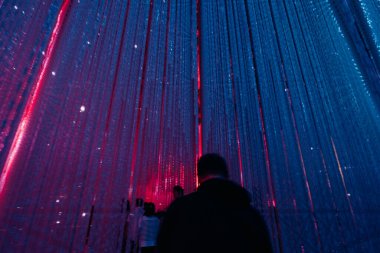 Tokyo, Japonya - 2 Ağustos 2025 Tokyo 'daki Laboratuar Gezegenleri Sanat Müzesi. Yüksek kalite fotoğraf