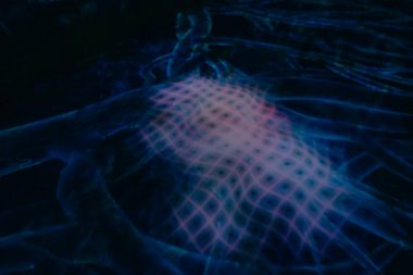 Tokyo, Japonya - 3 Ağustos 2025 Tokyo 'daki Laboratuar Gezegenleri Sanat Müzesi. Yüksek kalite fotoğraf