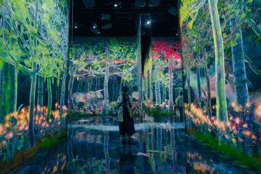 Tokyo, Japonya - 3 Ağustos 2025 Tokyo 'daki Laboratuar Gezegenleri Sanat Müzesi. Yüksek kalite fotoğraf