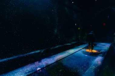 Tokyo, Japonya - 3 Ağustos 2025 Tokyo 'daki Laboratuar Gezegenleri Sanat Müzesi. Yüksek kalite fotoğraf