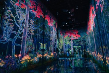 Tokyo, Japonya - 3 Ağustos 2025 Tokyo 'daki Laboratuar Gezegenleri Sanat Müzesi. Yüksek kalite fotoğraf