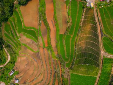 Pulag Dağı yakınlarındaki Filipinler dağ köylerinin hava manzarası. Yüksek kalite fotoğraf