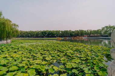 Pekin, Çin - 2 Haziran 2025 Çin geleneksel turizm tekneleri Qianhai Gölü 'nün Pekin kanallarında ShiChaHai bölgesinde. Yüksek kalite fotoğraf