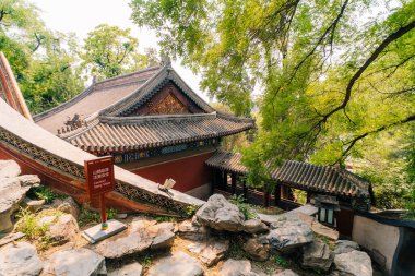 BEIJING - 23 Mayıs 2025 Beyaz pagoda mimari peyzajı Beihai Parkı. Yüksek kalite fotoğraf