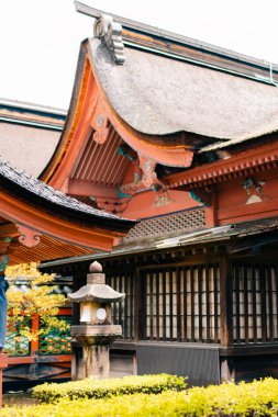 Matsuyama, Japonya - 22 Mayıs 2025 Matsuyama şehrinde bir Shinto türbesi olan Isaniwa Jinja Ana Salonu. Yüksek kalite fotoğraf